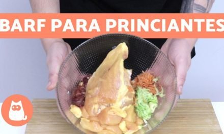 Cocinando para el Pastor Suizo: El Menú Completo para tu Mascota Favorita