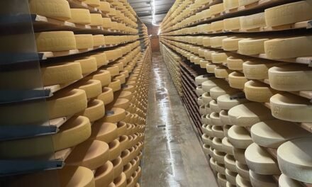 Descubre Gruyère Ville: La Joyas Cultural y Gastronómica de Suiza