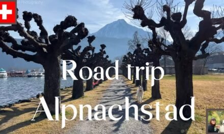 Descubre Alpnachstad: Guía Completa para Visitar Este Encantador Destino Suizo