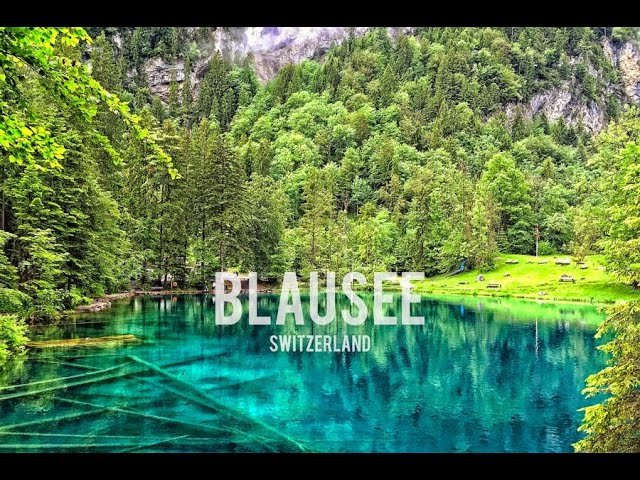 Descubre Blausee Bern: La Joya Natural de Suiza que Debes Visitar