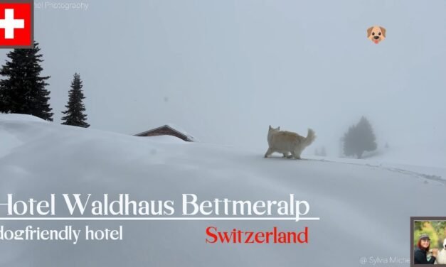 Descubre Wallis Bettmeralp: Guía Completa para Disfrutar de Este Paraíso Suizo