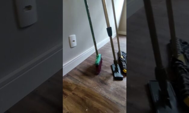 Descubre Belinzone: Guía Completa para Explorar Este Encantador Destino