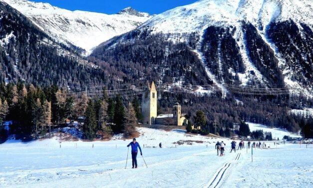 Todo lo que necesitas saber sobre la celerina: beneficios, usos y propiedades