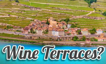 Descubre Lavaux: El Paraíso Vinícola de Suiza y Sus Impresionantes Terrazas de Vino