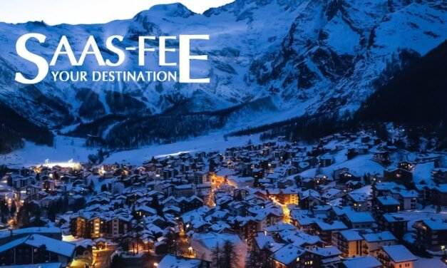 Todo lo que Necesitas Saber sobre SaaS-Fee: Guía Completa y Beneficios