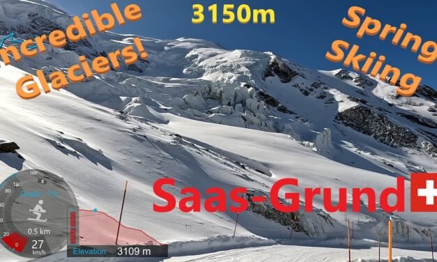 Descubre SaaS Grund: La Solución Perfecta para Tu Negocio en la Nube