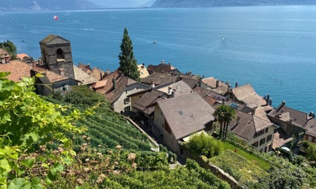 Descubre Saint Saphorin en Lavaux: Un Tesoro Vinícola en Suiza