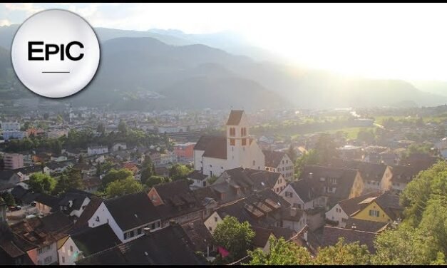 Todo lo que Necesitas Saber sobre los Sargans: Beneficios, Usos y Recetas